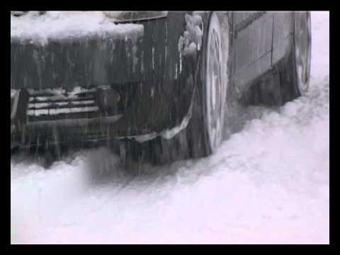 ELEVII DIN BOLBOSI IN VACANTA SI MAINE