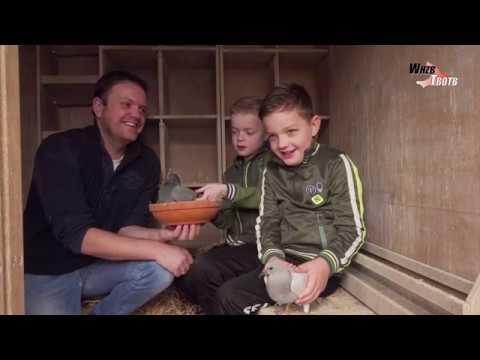 WHZB/TBOTB 2018 Winners - Youngbirds SD: Jonny Ekkel, Vriezenveen (with English subtitles)