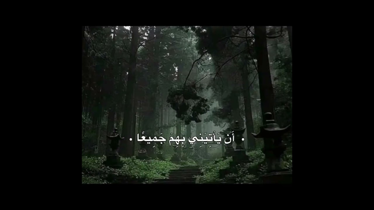 #اجر_لي_ولك #الحمدلله #بسم_الله_الرحمن_الرحيم #سبحان_الله #explore #like #قرآن #قران_كريم