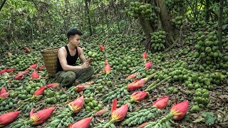 Download lagu A lucky day harvesting rare wild fruits in the forest | Thanh Duong mp3