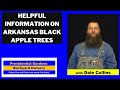 ARKANSAS BLACK APPLE TREES Helpful Information with Dale Collins