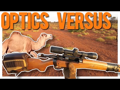 Camel Control and Advocacy in the Outback