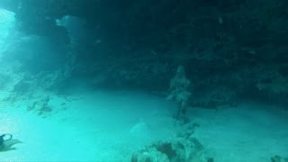 Underwater Hindu Temple dive in Mauritius 2013-10-16