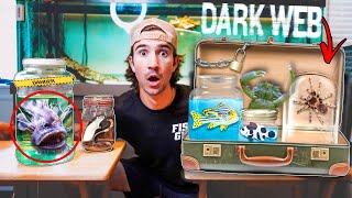 Ordering FISH FILLED Briefcase OFF The DARK WEB... (what’s inside?)