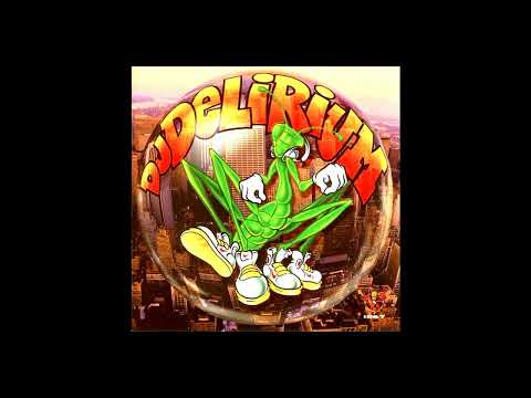 DJ Delirium & Friends CD