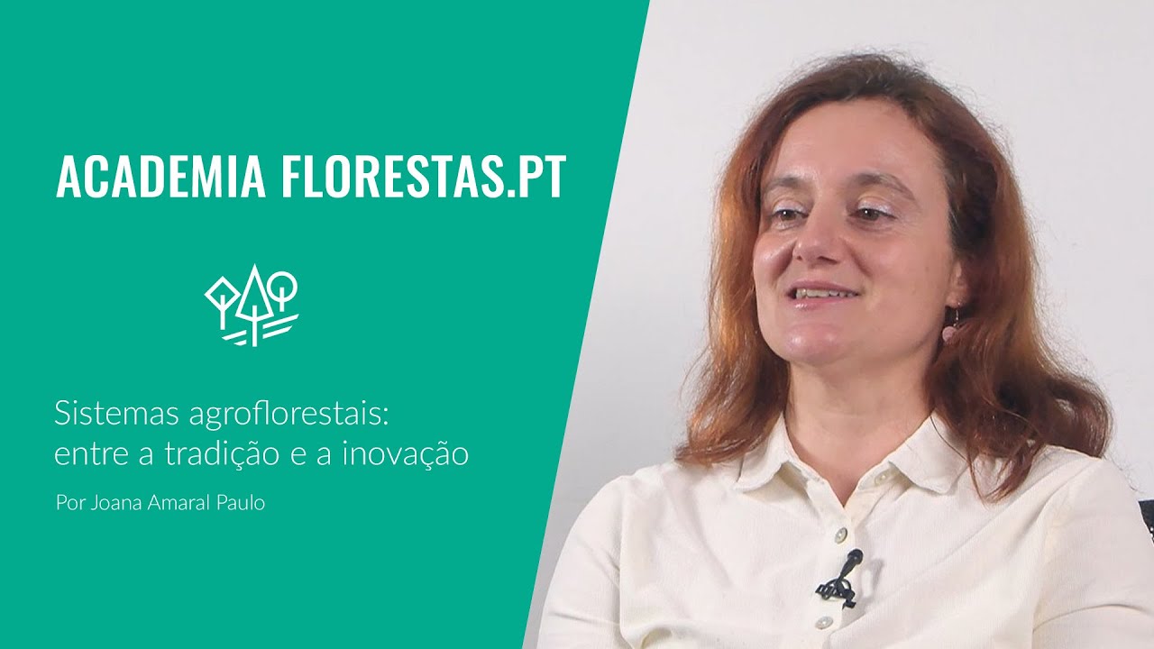 Florestas.pt -  "Sistemas agroflorestais: entre a tradição e a inovação" por Joana Amaral Paulo