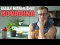 BAZÁLNÍ METABOLIMUS JE HOVADINA | QnA 137