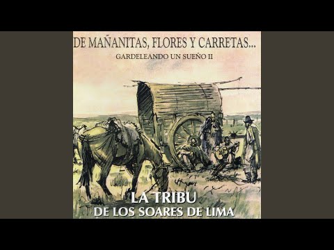 Suena Guitarra Querida