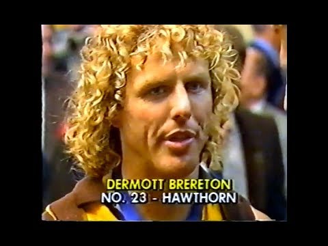 1988 VFL FOOTBALL GRAND FINAL | Hawthorn vs Melbourne | Dermott Brereton Interview | Aussie Rules