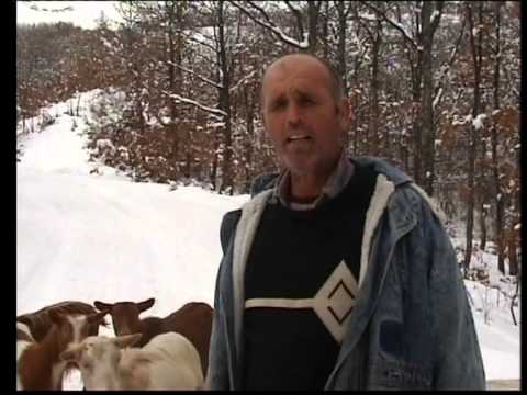 Hido Muratovic - Stocar Nusret Orovcanin