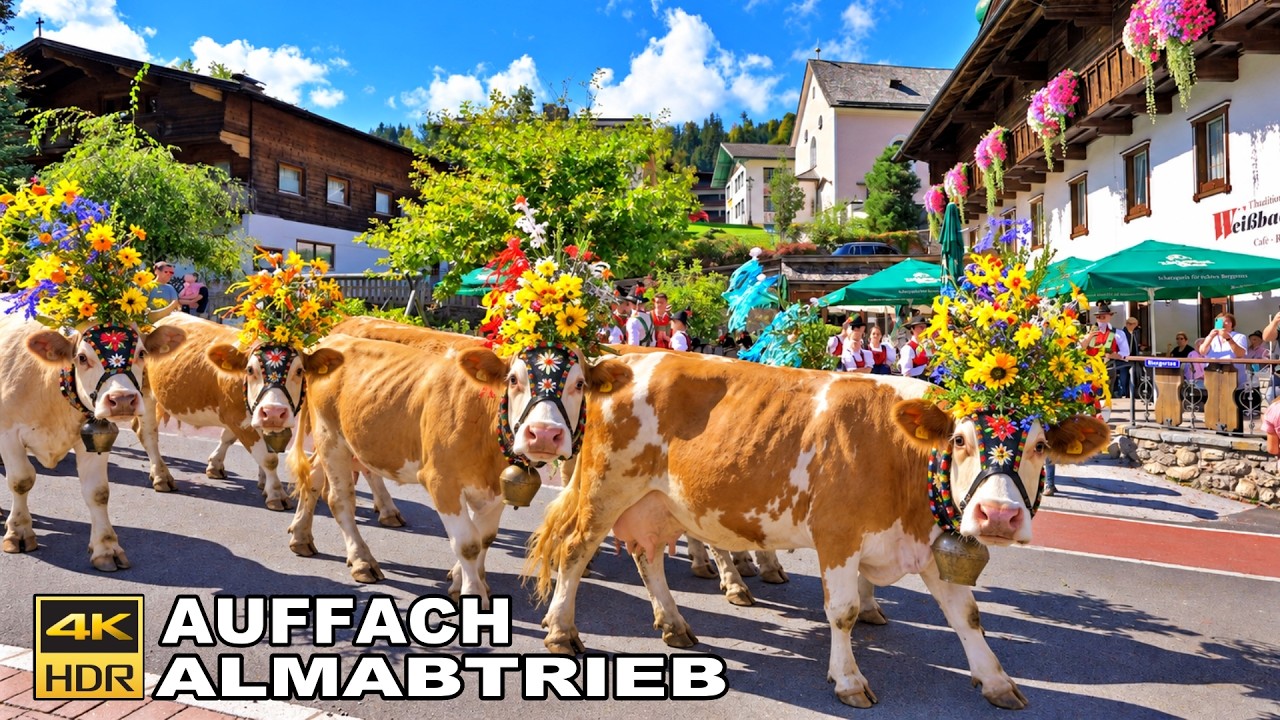 Auffach Wildschönau Almabtrieb 🇦🇹 The Most Beautiful Decorated Cows 🌸 | FULL DAY | 4K 60FPS 🌸🔔🇦🇹