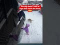 Dog Caleb Is Having A Fantastic Day On The Snow Shortsvideo Short Viralshorts Viral Viralvideo
