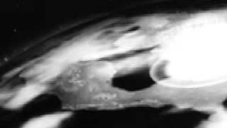 The Metronomes - Sex 1