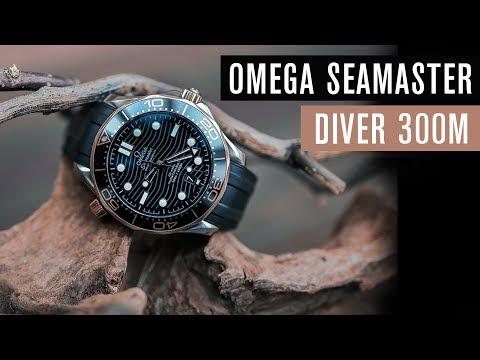 Omega Seamaster Diver 300 Evo- oder Revolution? | Test | Review
