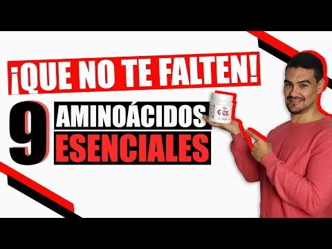 Te Contamos Que Son Los Aminoácidos Esenciales