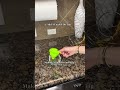 How To Get Rid Of Fruit Flies Quickly!