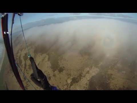 2010-03-27 Rhossili Ibex