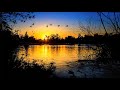 4 Hours Of Relaxing Nature Sounds For A Peaceful Night S Sleep Sleeping Relaxing And Meditation