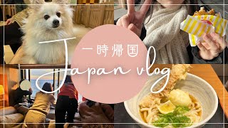 【一時帰国🇯🇵】年末年始爆食vlog🍽️ 食べたいもの全部食べた結果...🐷