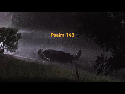 I Remember The Days Of Long Ago | Psalm 143