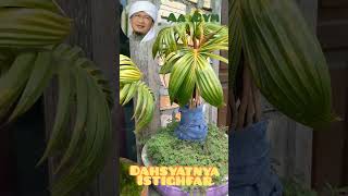 Download lagu Dahsyatnya Istighfar | Aa Gym mp3