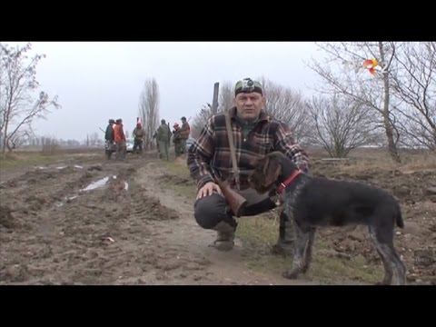 Natură şi aventură: Vânătoare de iepuri şi fazani