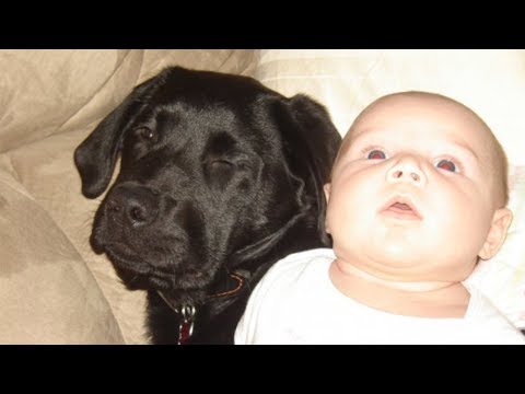 Woman Tells Her Sister NOT To Have A Puppy When She Has A Baby, But She Doesn’t Listen