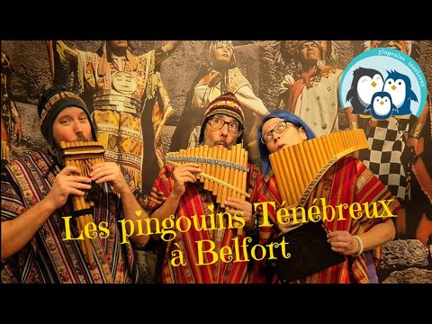 Aperçu de la vidéo