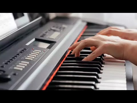 Digital Pianos : Which are the Best Digital Pianos in 2023?