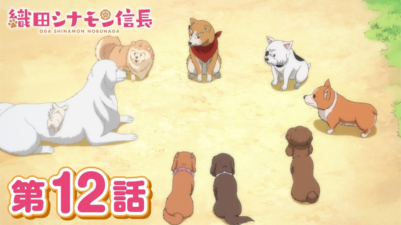 「いくさの子犬」第12話 | 織田シナモン信長 | スタジオぴえろ【公式】