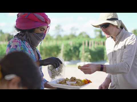 Play Video Youtube Video