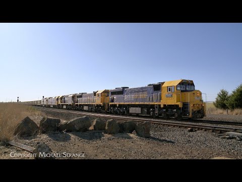 9154 Broad Gauge Grain Train With Five Diesel Locomotives (5/11/2023) - PoathTV Australian Railways