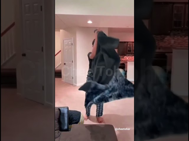 Vídeo relacionado con Joygoodta Bolsa de Accesorios mágicos, Bolsas de Cambio de Accesorios mágicos Que Hacen Que aparezca o desaparezca para Trucos de Magia (Azul)