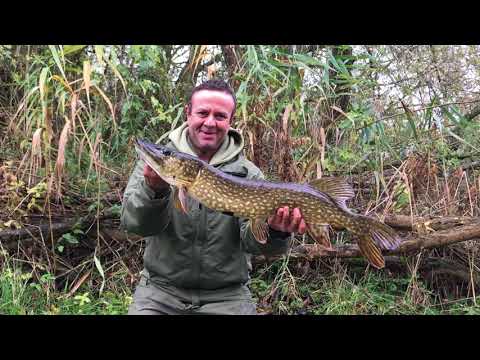 "Gravel Pit Pike Fishing"