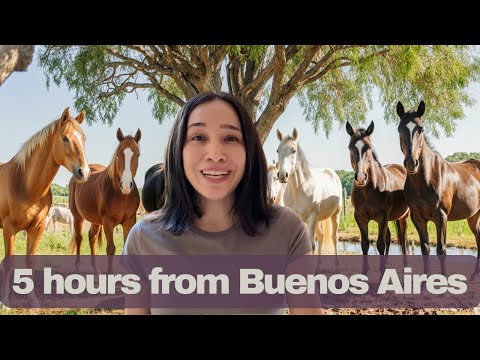 this is where buenos aires families escape (foreign tourists haven't found it yet)