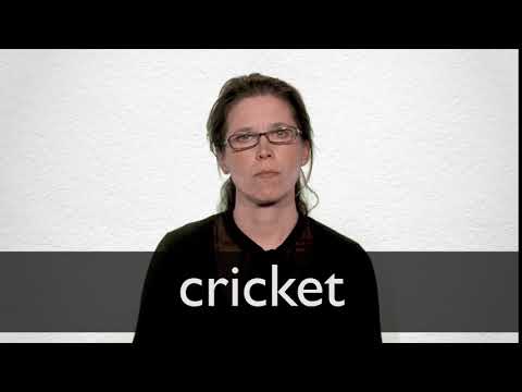 Hindi Translation of “cricket” | Collins English-Hindi Dictionary