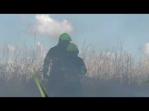 Brandweer Velsen Zuid 122430 met spoed naar een natuurbrand aan de Vondelweg in Haarlem