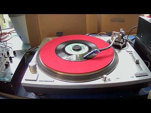 Winchester Cathedral ~ The New Vaudeville Band ~ 1966 ~ Styrene