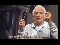 Triangle Lessons with Leonard Bernstein