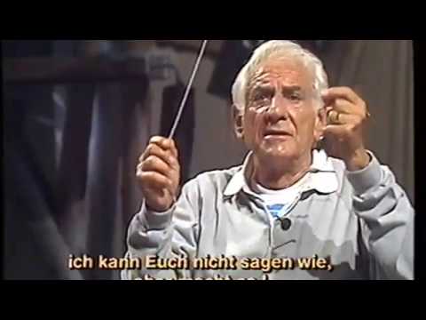 Triangle Lessons with Leonard Bernstein