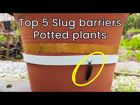 I Tested Every Slug Barrier — Here Are My Top 5