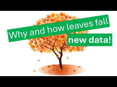 Why plants lose their leaves and how they do it? Abscission pathway explained.