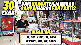 Download lagu KENARI PROSPEK LOMBA‼️Spek MEWAH-MEWAH dari AF sampai RASMI... mp3 Download lagu KENARI PROSPEK LOMBA‼️Spek MEWAH-MEWAH dari AF sampai RASMI... mp3
