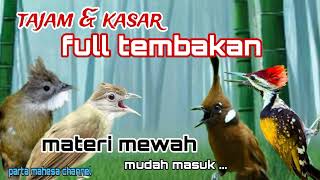 Download lagu Masteran Sadis Untuk Murai batu, Cucak ijo Dan Jenis Burung Lainnya - Spesialis Tembakan Kasar mp3 Download lagu Masteran Sadis Untuk Murai batu, Cucak ijo Dan Jenis Burung Lainnya - Spesialis Tembakan Kasar mp3