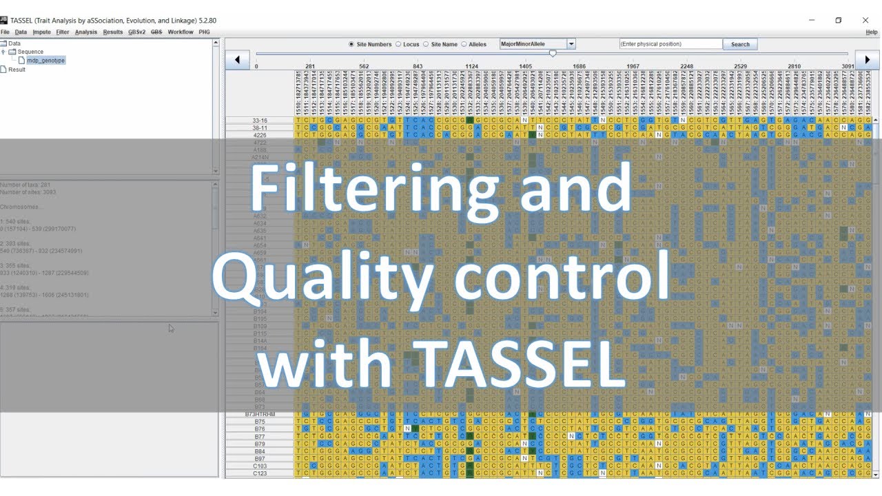 TASSEL genotype data filter and quality control