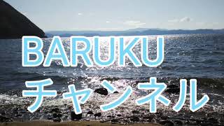 BARUKUチャンネルのNEWOP