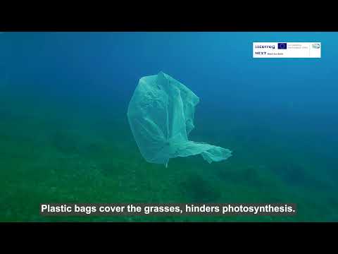 Ecosystem Under Threat