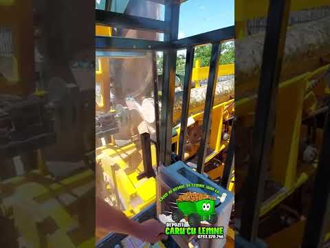 Carul Cu Lemne din Trivalea Mosteni Lemne de foc si carbuni Teleorman | 0733 370 746