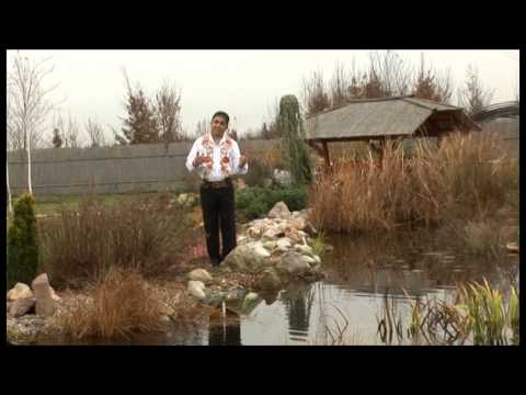 Lucian Drăgan - Fă-mi Doamne drumul mai scurt