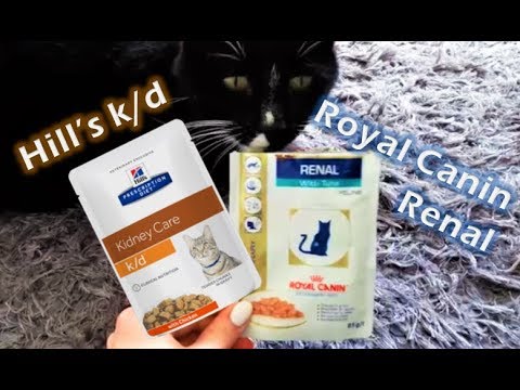 Wet Food Review for Cats with Kidney Disease - Taste Tests - Analytical Constituents - Feeding Tips